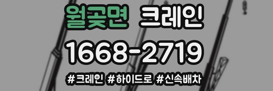 월곶면 크레인 작업