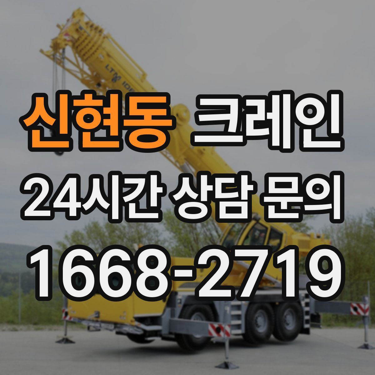 신현동 카고 크레인