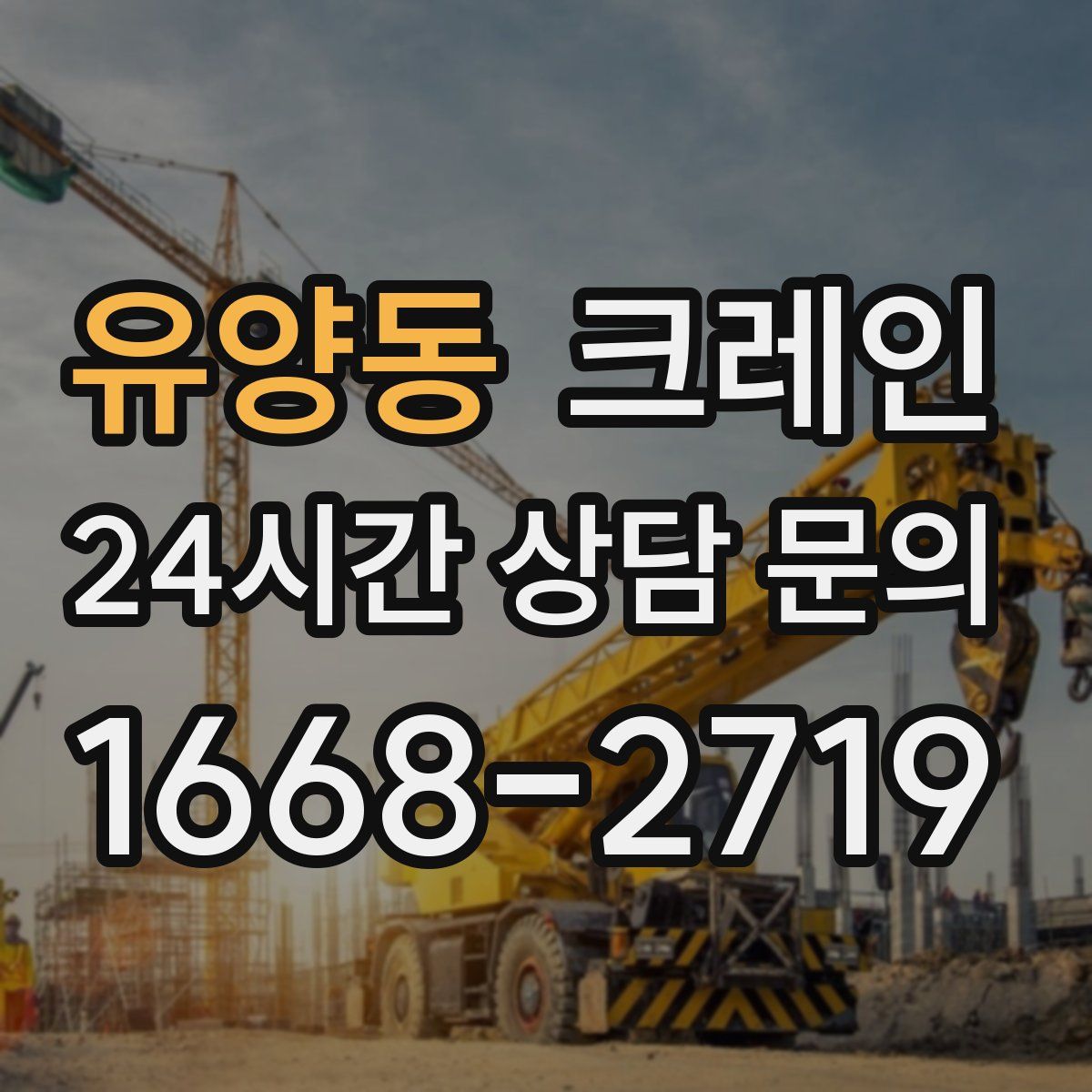 유양동 카고 크레인