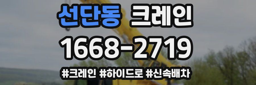 선단동 크레인 작업