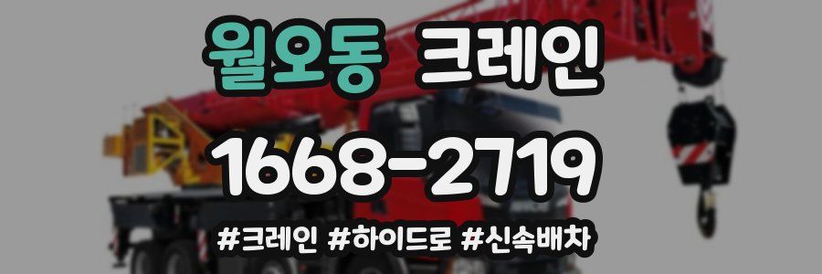 월오동 크레인 작업