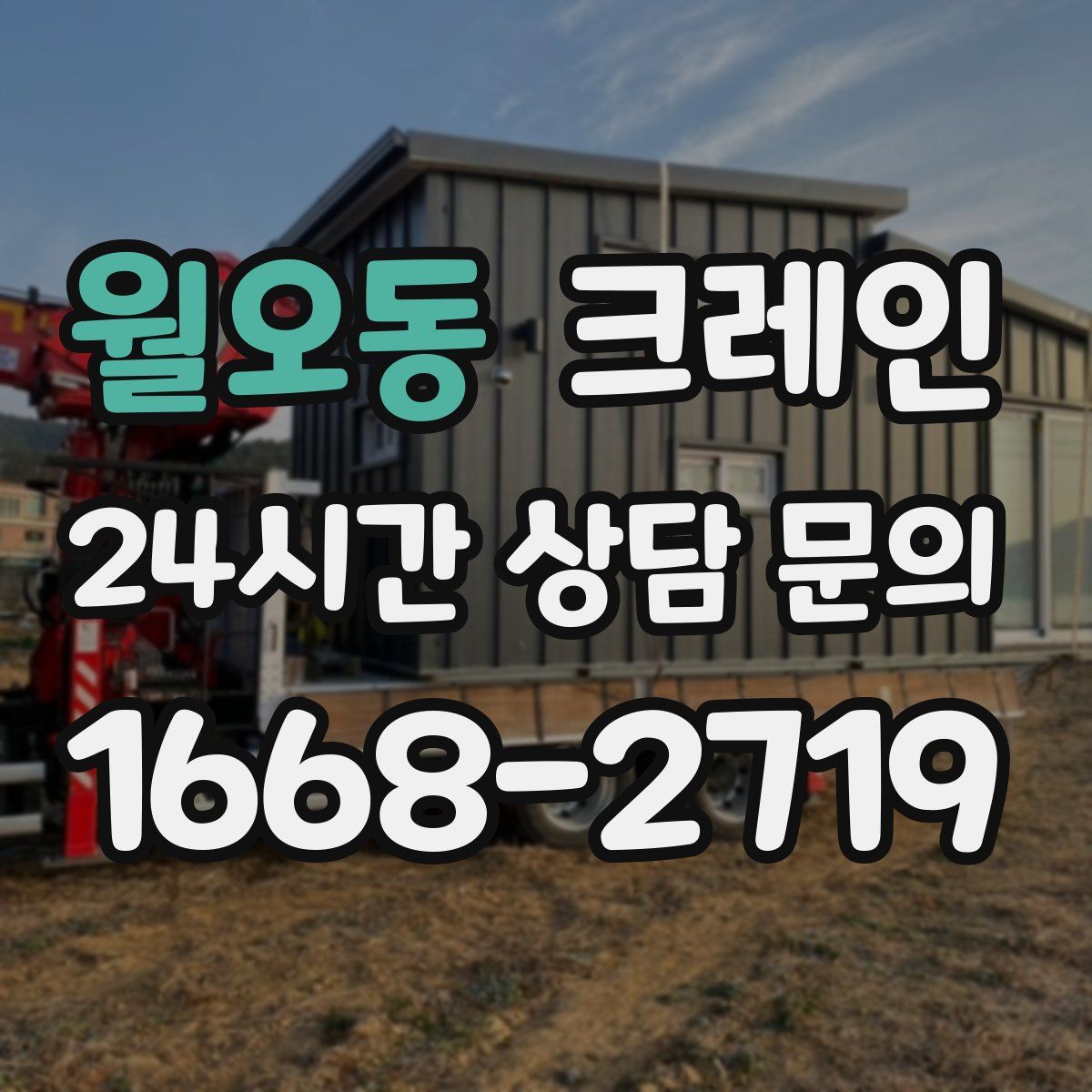 월오동 카고 크레인