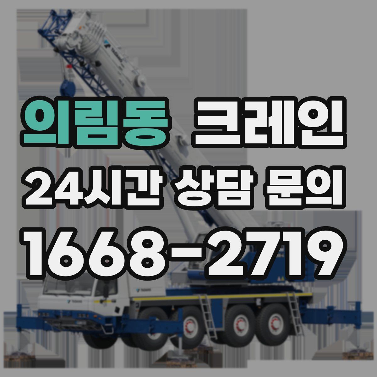 의림동 카고 크레인