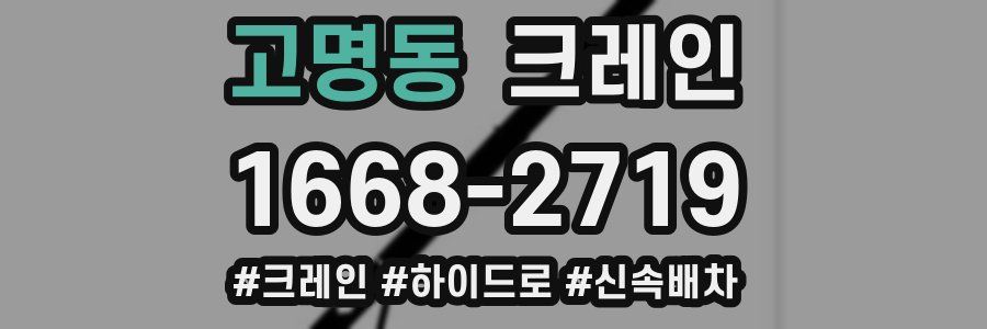 고명동 크레인 작업