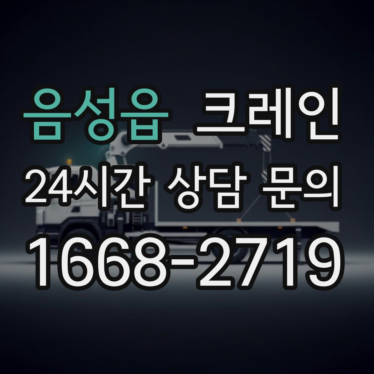 음성읍 카고 크레인