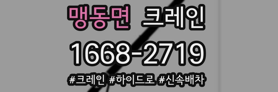 맹동면 크레인 작업