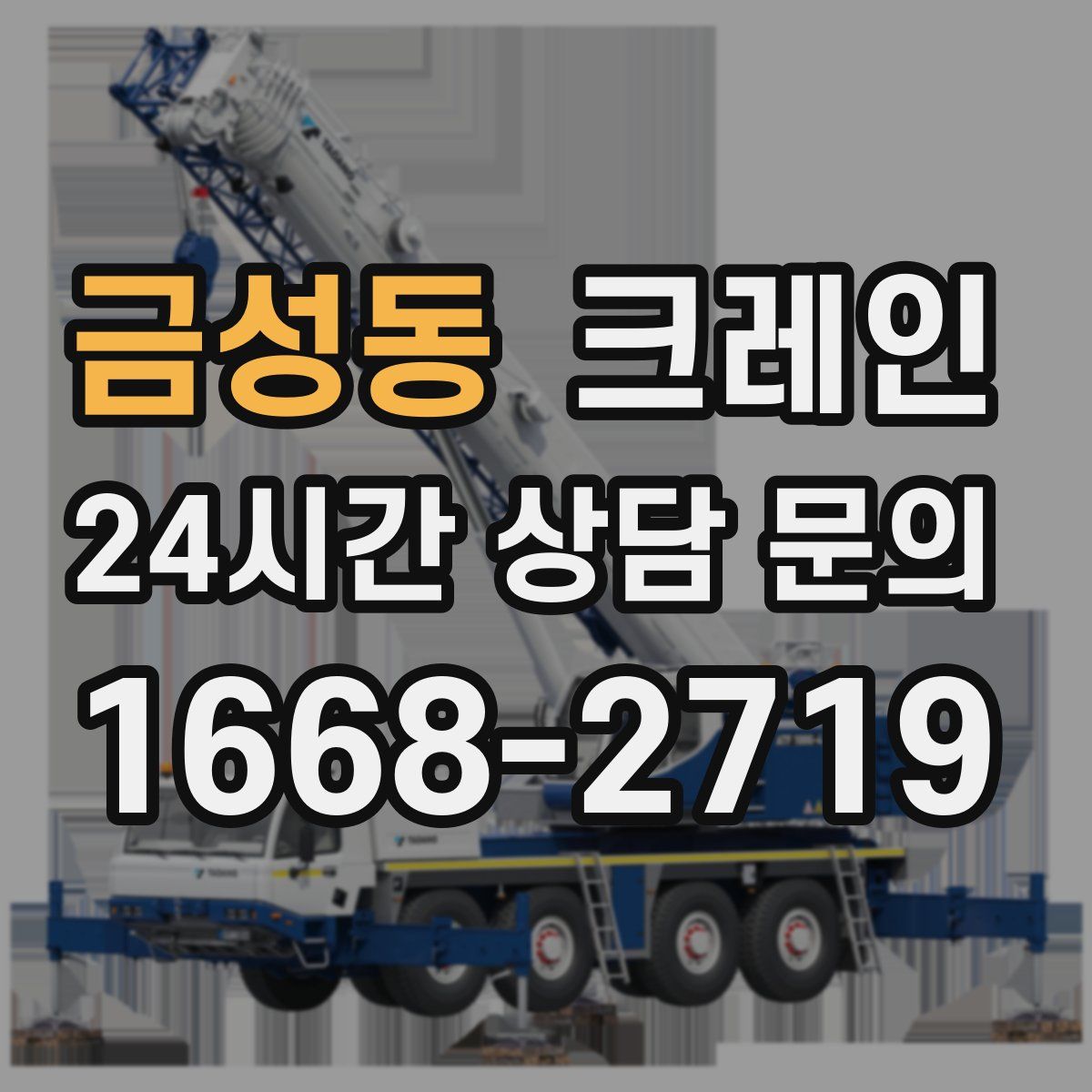 금성동 카고 크레인