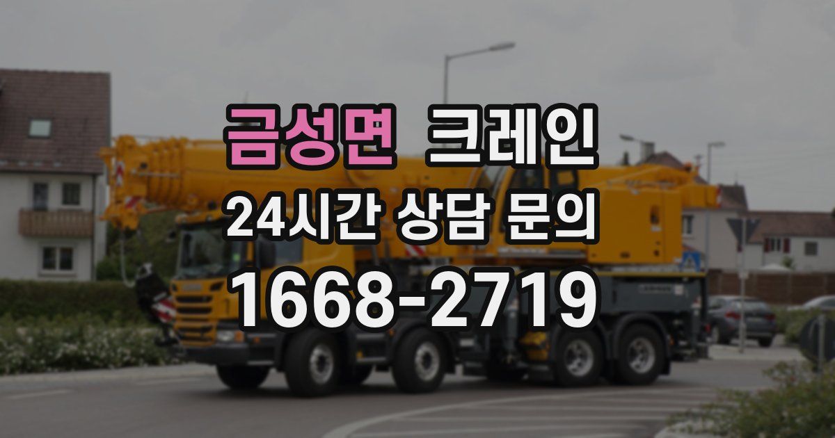 금성면 크레인