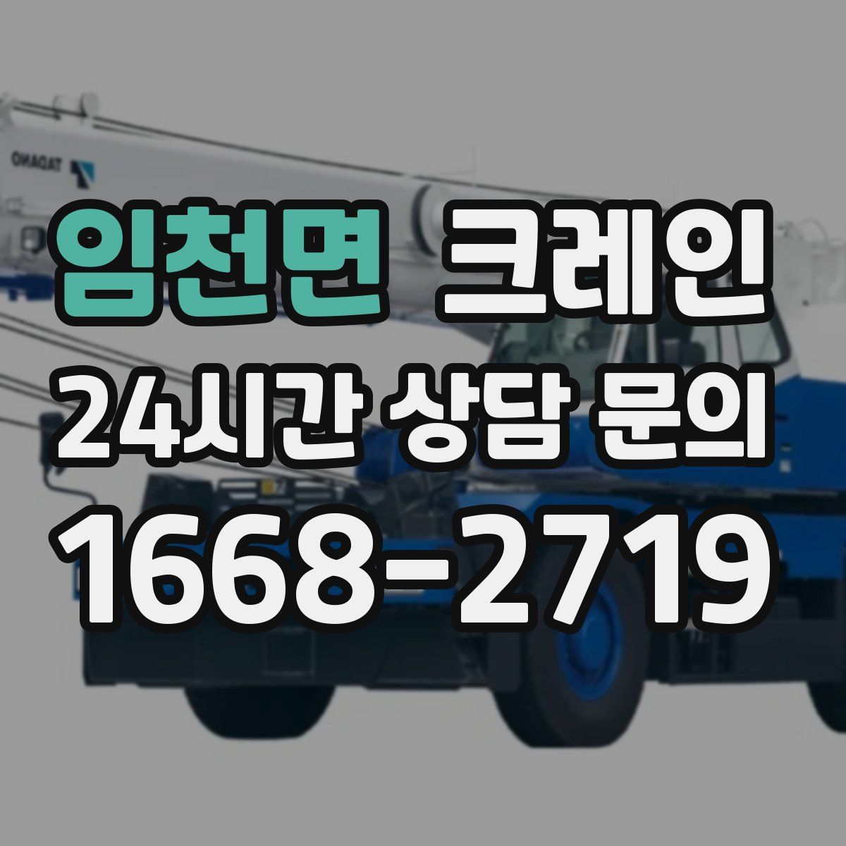 임천면 카고 크레인