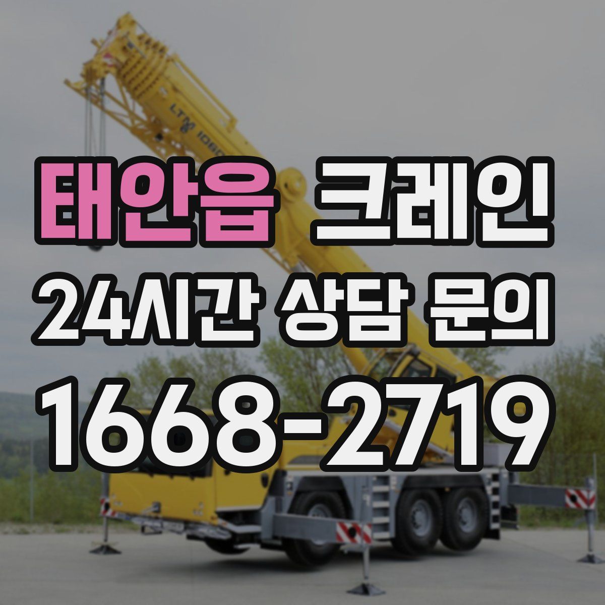 태안읍 카고 크레인