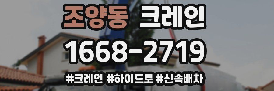 조양동 크레인 작업