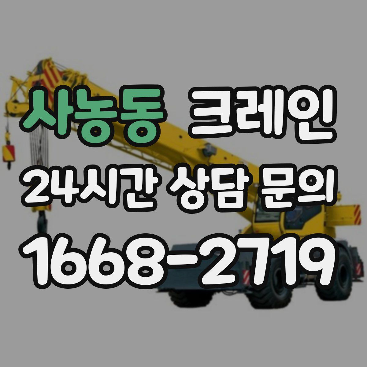 사농동 카고 크레인