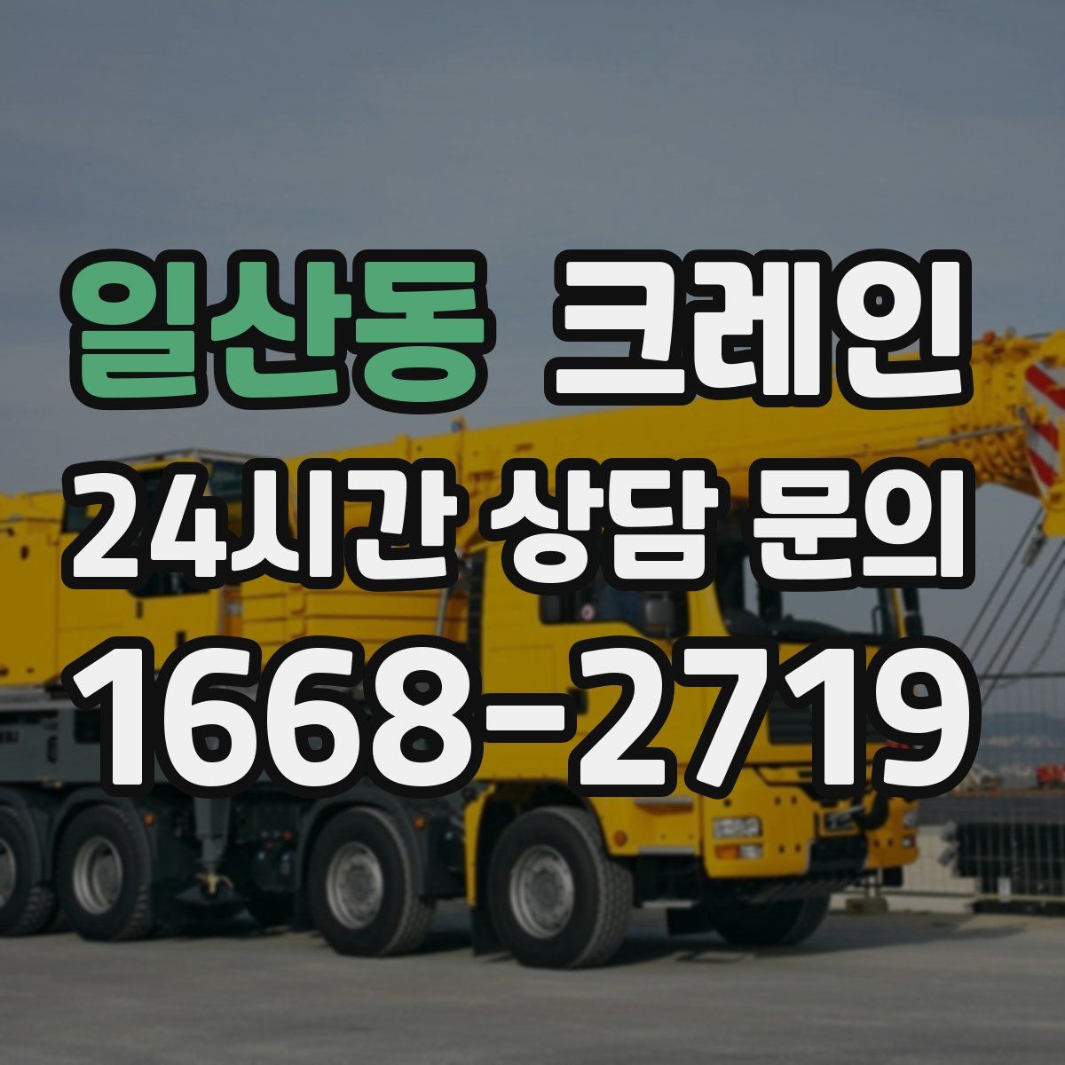일산동 카고 크레인