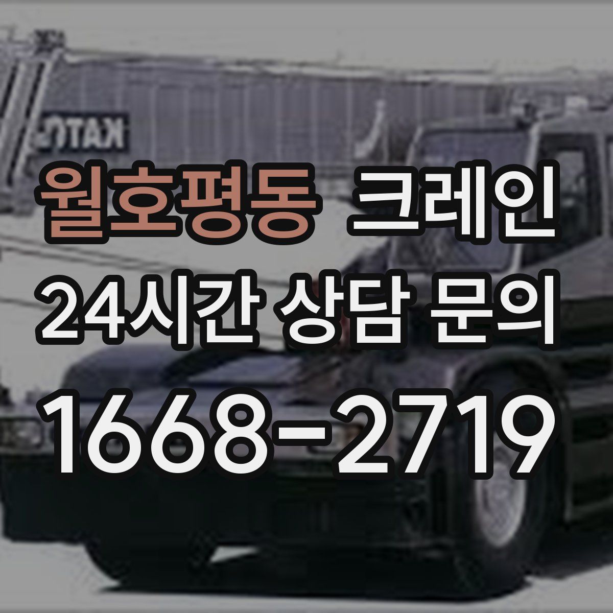 월호평동 카고 크레인