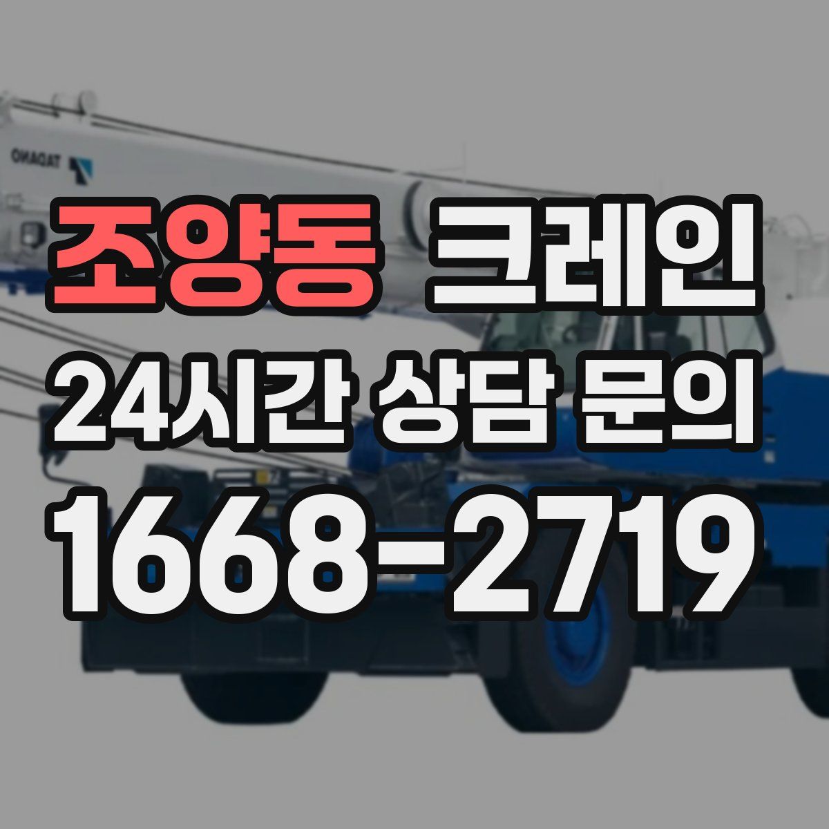 조양동 카고 크레인