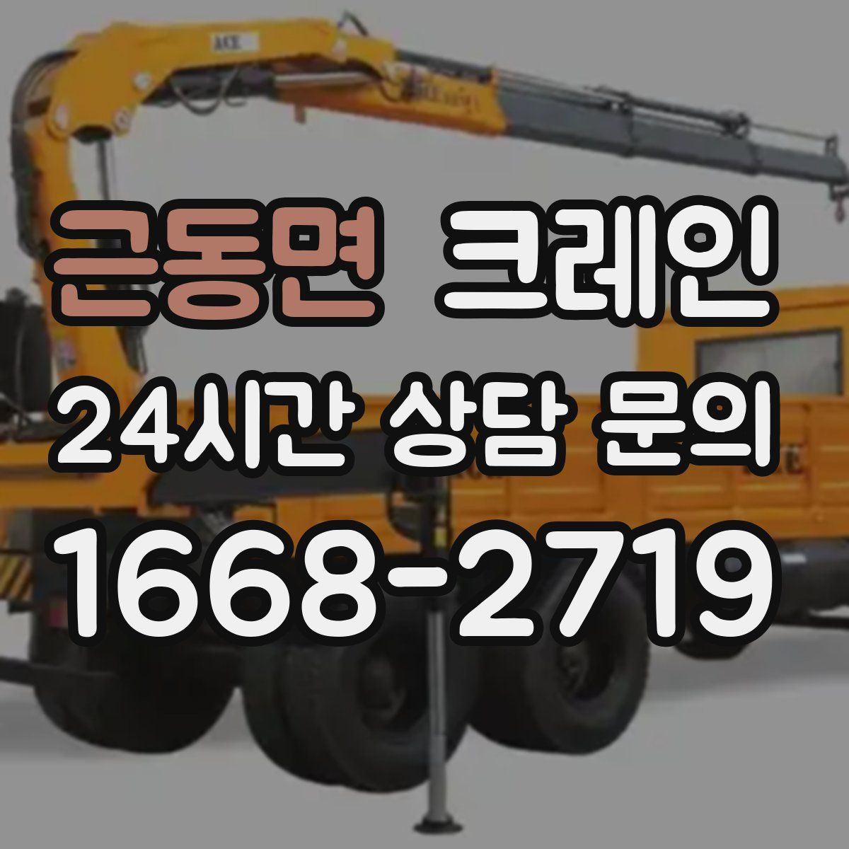 근동면 카고 크레인