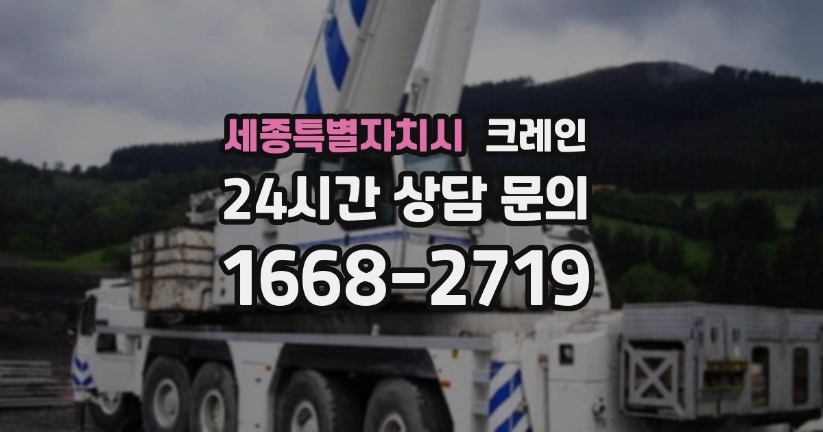 세종특별자치시 크레인
