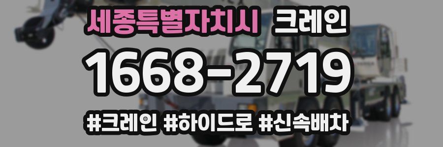 세종특별자치시 크레인 작업