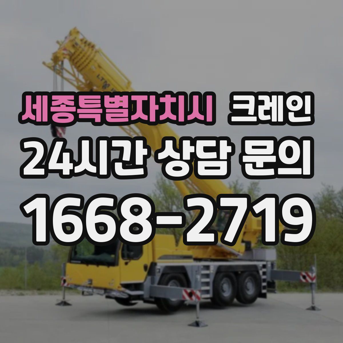 세종특별자치시 카고 크레인