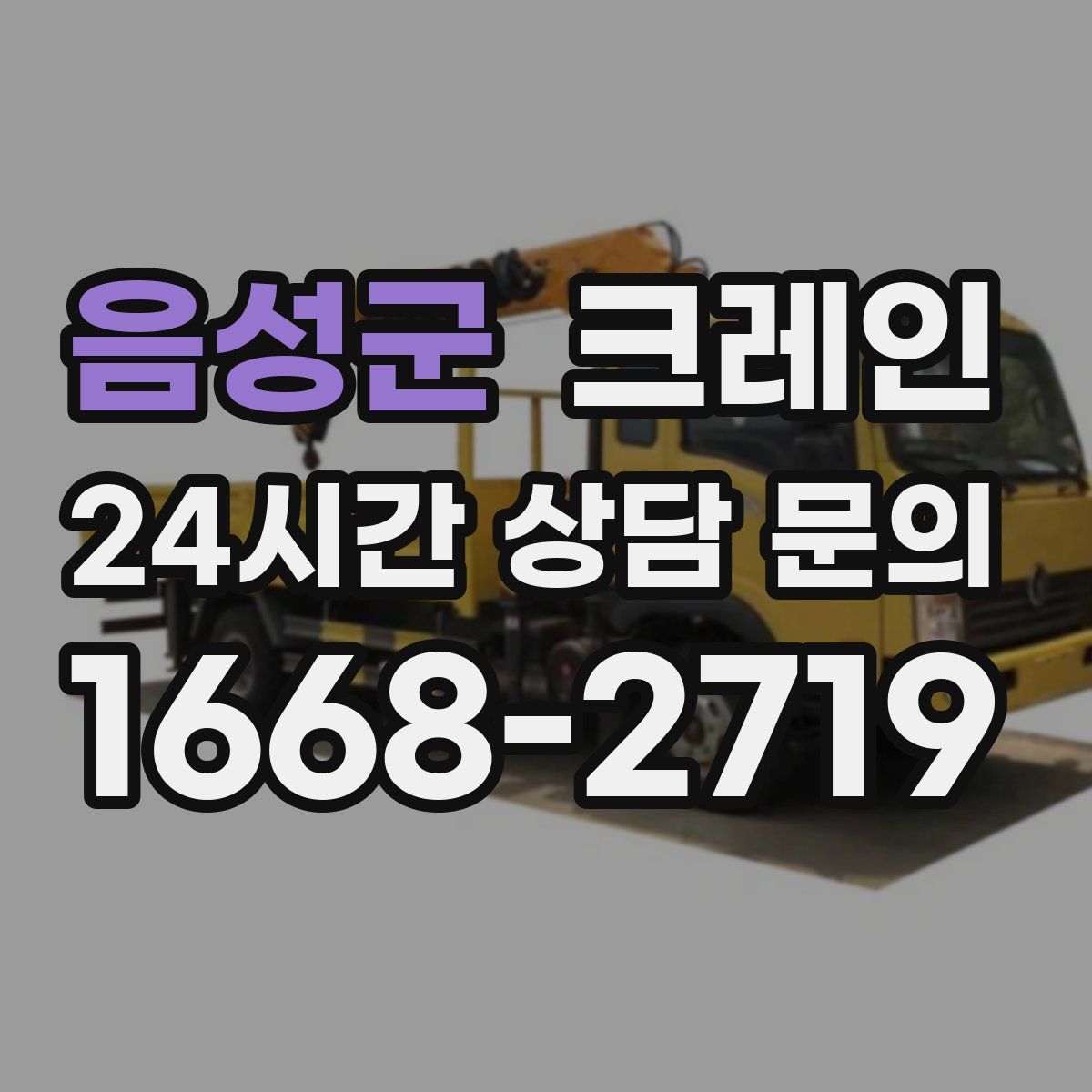 음성군 카고 크레인