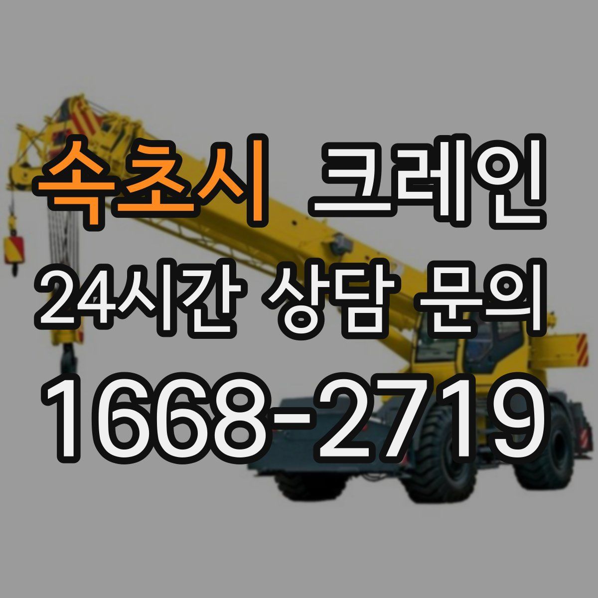 속초시 카고 크레인