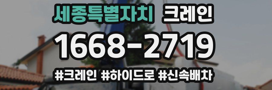 세종특별자치 크레인 작업