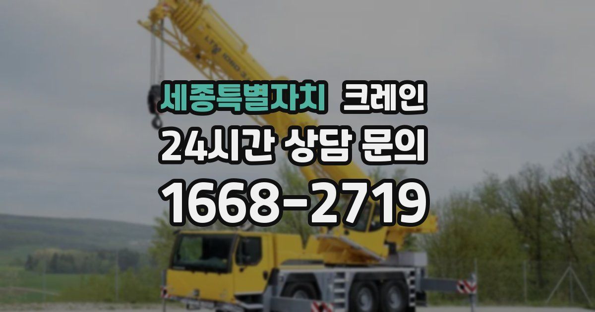 세종특별자치 크레인