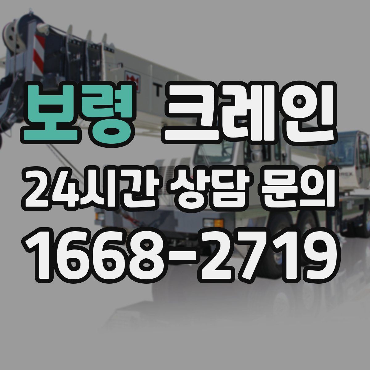 보령 카고 크레인