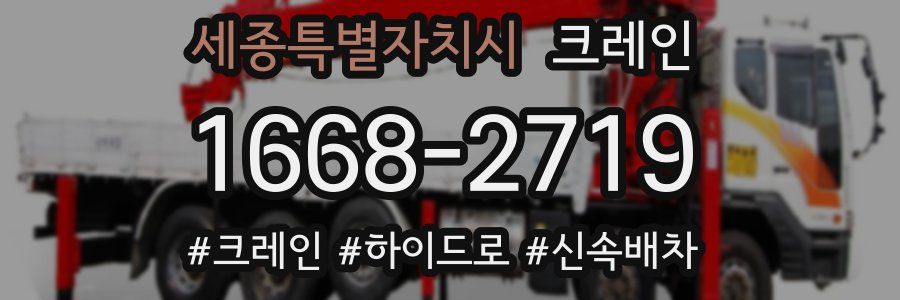 세종특별자치시 크레인 작업