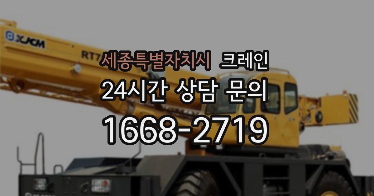 세종특별자치시 크레인