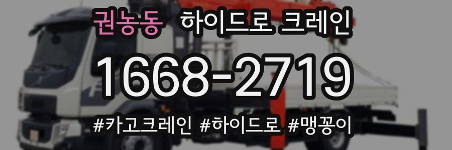 권농동 하이드로 크레인