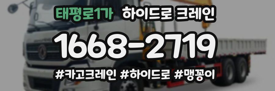 태평로1가 하이드로 크레인