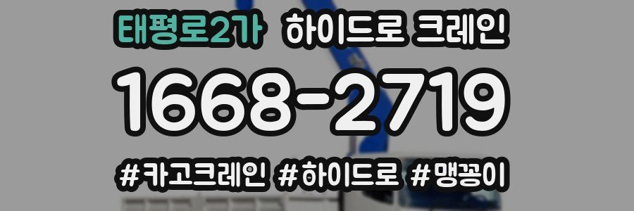 태평로2가 하이드로 크레인