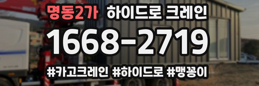 명동2가 하이드로 크레인