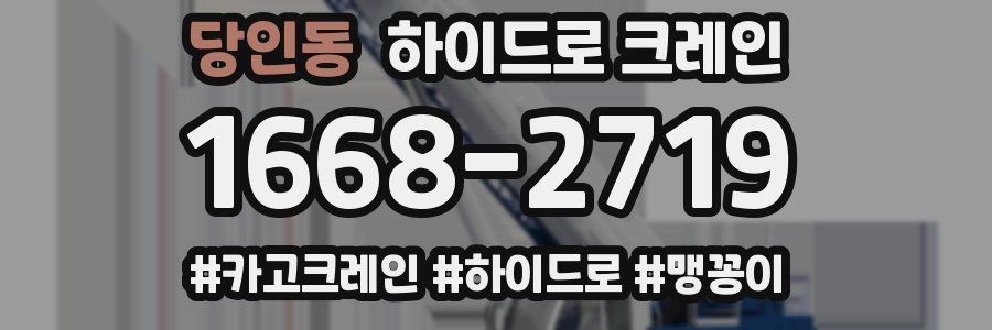 당인동 하이드로 크레인