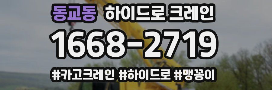 동교동 하이드로 크레인