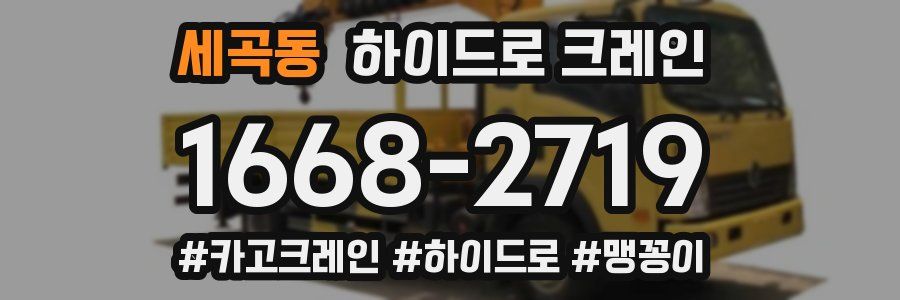 세곡동 하이드로 크레인