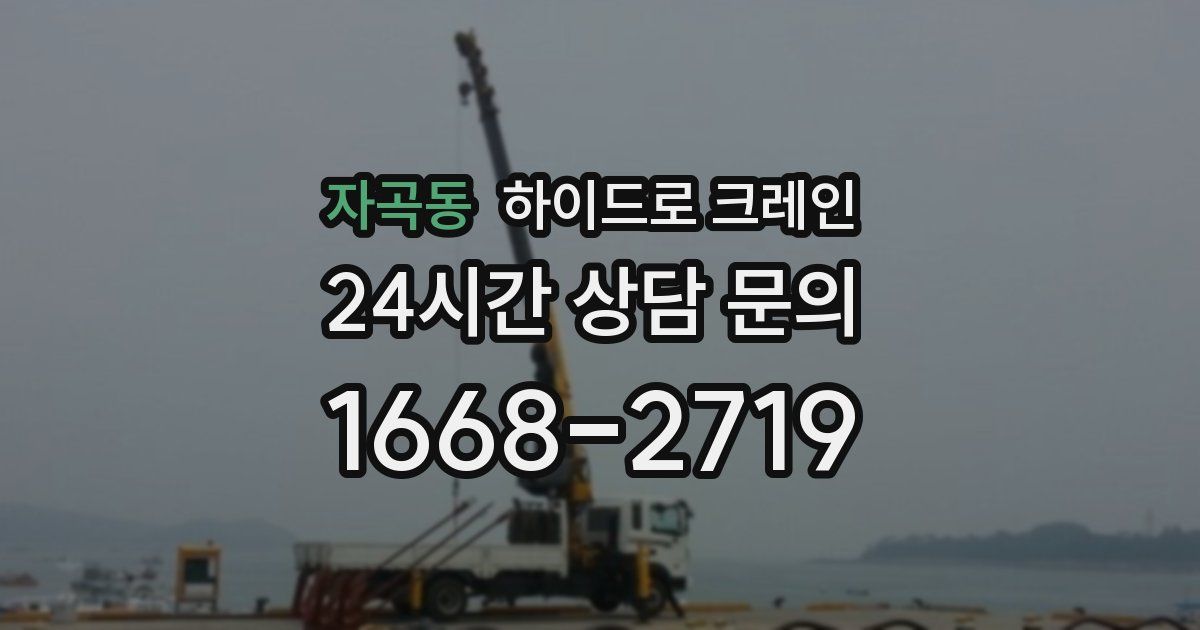 자곡동 하이드로 크레인