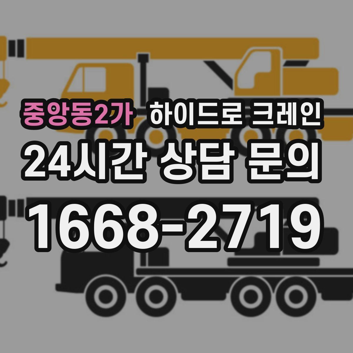 중앙동2가 하이드로 크레인 나무 식재 장비 반입이 필요할 때