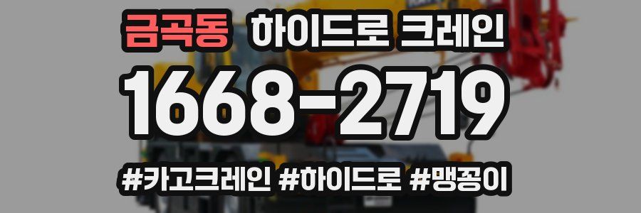 금곡동 하이드로 크레인