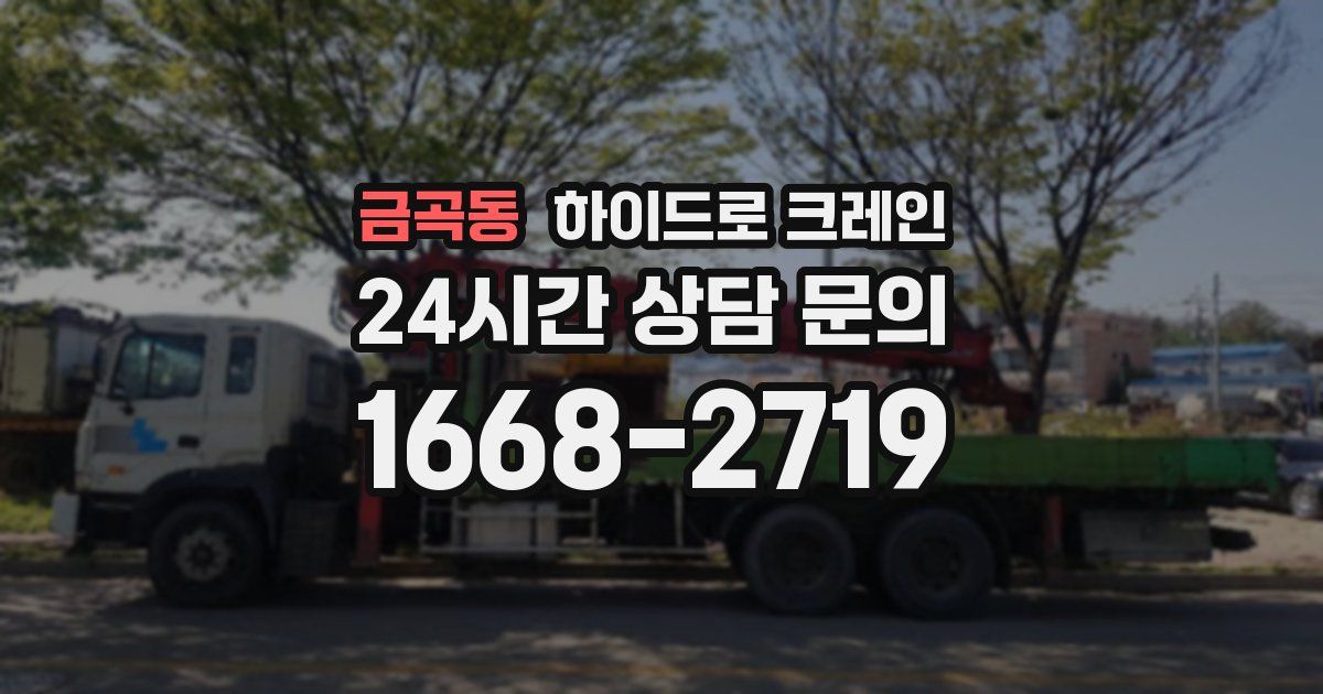 금곡동 하이드로 크레인