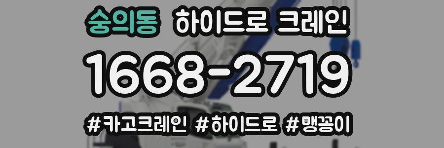 숭의동 하이드로 크레인