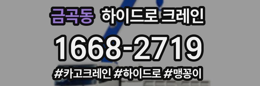 금곡동 하이드로 크레인