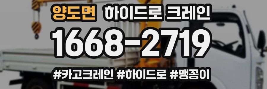 양도면 하이드로 크레인