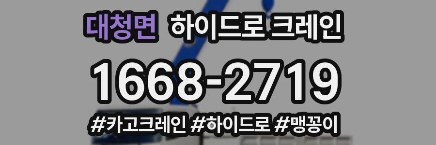 대청면 하이드로 크레인