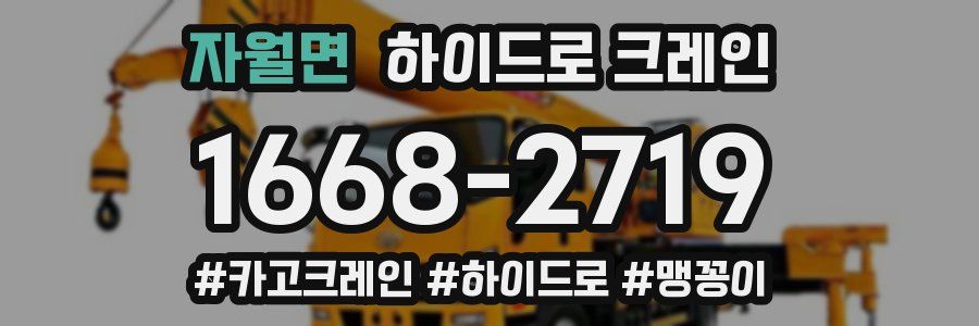 자월면 하이드로 크레인