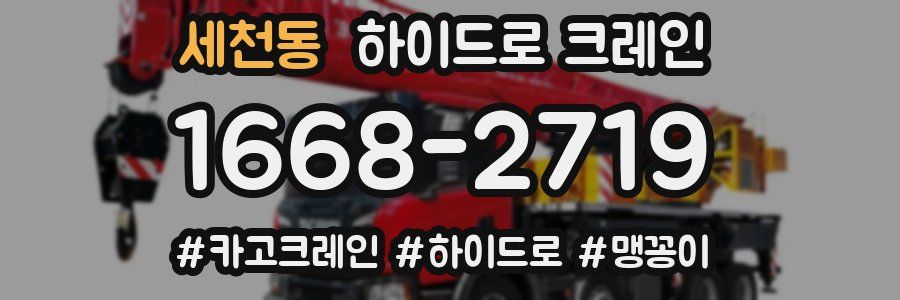 세천동 하이드로 크레인