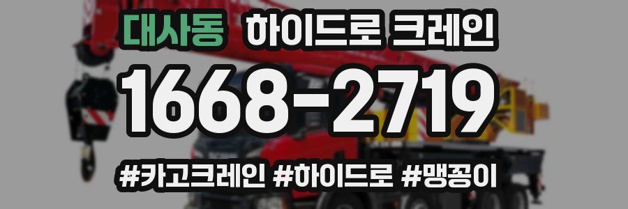 대사동 하이드로 크레인