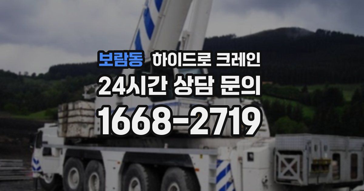 보람동 하이드로 크레인