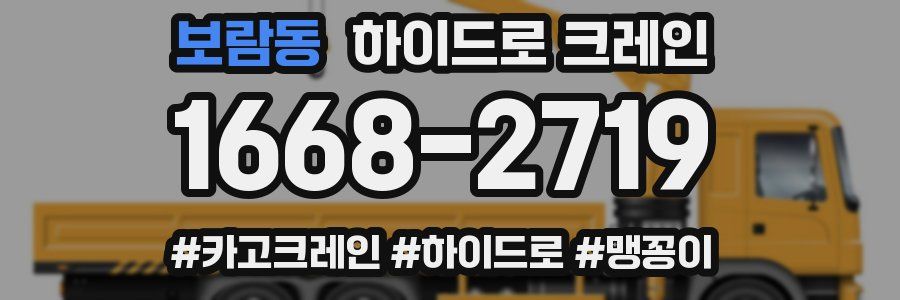 보람동 하이드로 크레인